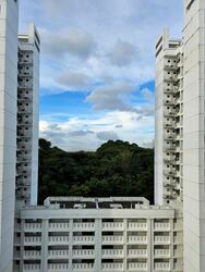 Blk 70C Telok Blangah Ridgeview (Bukit Merah), HDB 4 Rooms #450488941